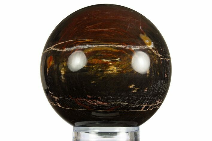Polished Petrified Wood Sphere #330202